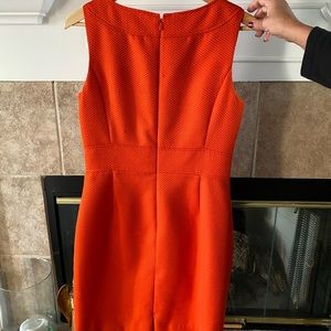 Tahari Beautiful Woman Dress